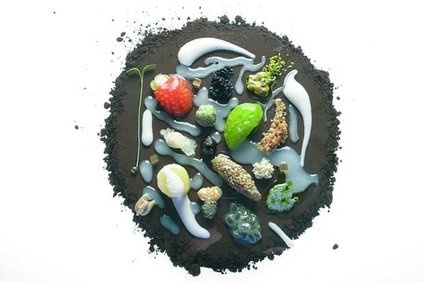 Plato de semillas de elBulli Diseño de Ferran Adrià / elBulli Foto: Francesc Guillamet