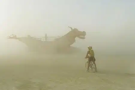 Burning Man Festival 2015