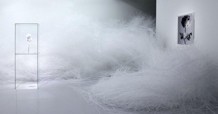 Tokujin Yoshioka. INteriorismo japonés