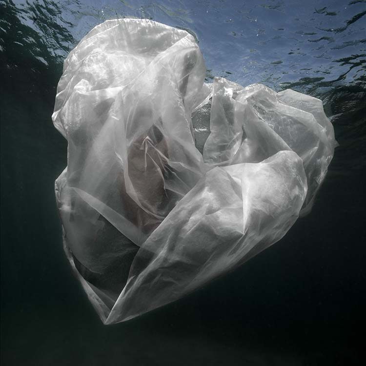 Isabel Muñoz. Sin título. Serie Bajo el agua. Galeria Blanca Berlín. justMAD
