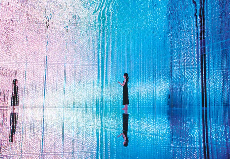 Transcending Boundaries. TeamLab