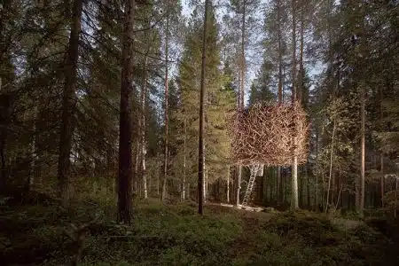 Microarquitectura. The Bird´s Nest. Bertil Harström Treehotel. Suecia. 2010