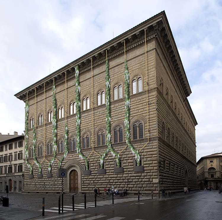 The Florence Experiment. Carsten Höller y Stefano Mancuso en el Palazzo Strozzi