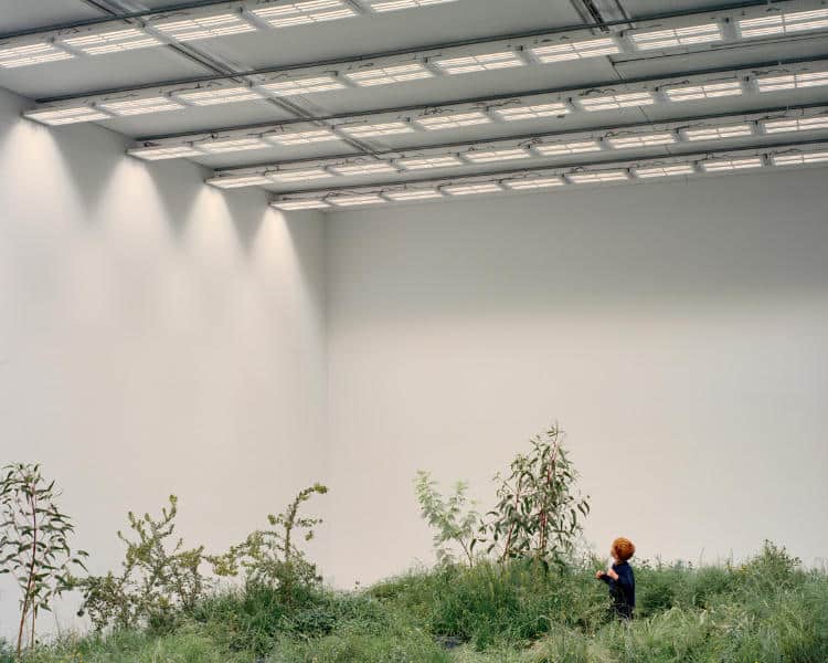 El pabellón de Australia en la Bienal de Arquitectura de Venecia 2018