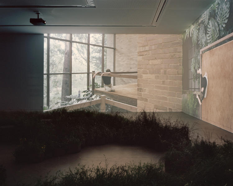 El pabellón de Australia en la Bienal de Arquitectura de Venecia 2018. Foto: Rory Gardiner
