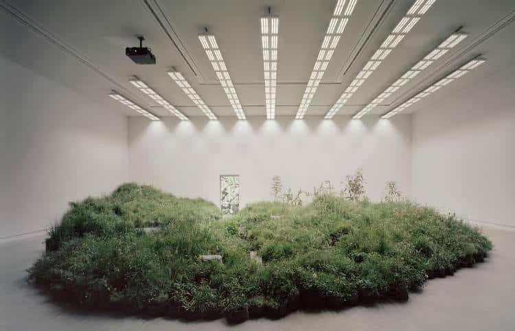 El pabellón de Australia en la Bienal de Arquitectura de Venecia 2018. Foto: Rory Gardiner