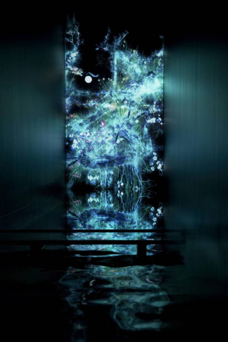 teamLab Borderless Tokyo 05