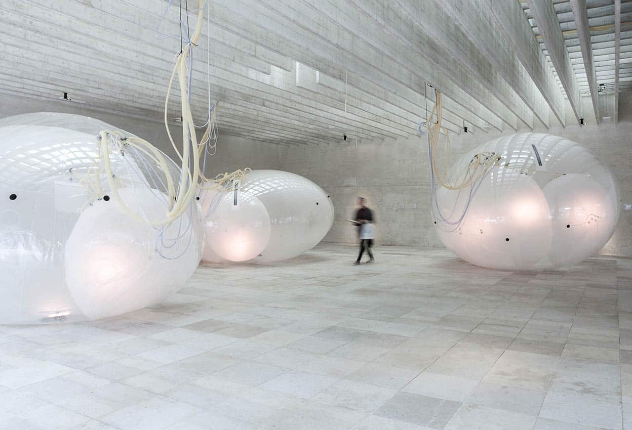 Los mejores pabellones de la Bienal de Venecia de Arquitectura 2018.Another Generosity. Pabellón Nórdico