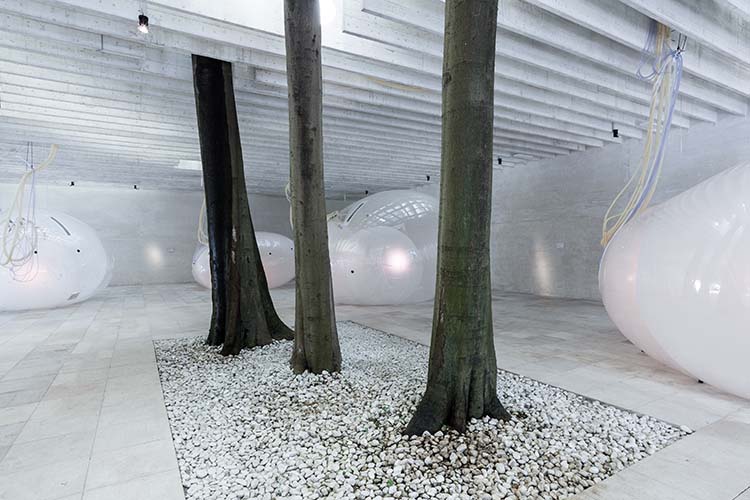 Los mejores pabellones de la Bienal de Venecia de Arquitectura 2018.Another Generosity. Pabellón Nórdico