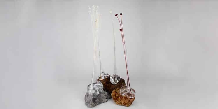 Fos Colección. Laura Bravo
Rado Star Prize Spain 2019. Madrid Design Festival