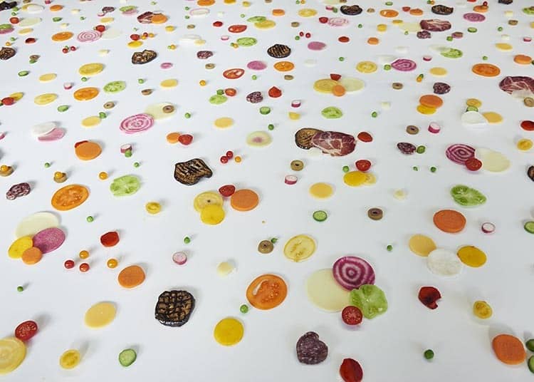 Katja Gruijters. desechos alimenticios