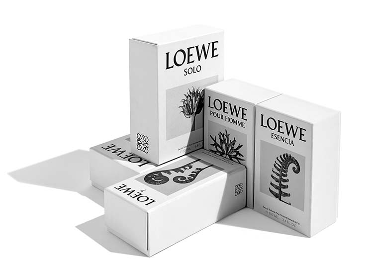 Arno Rafael Minkkinen y Karl Blossfeldt. Nuevo packaging de Loewe perfumes