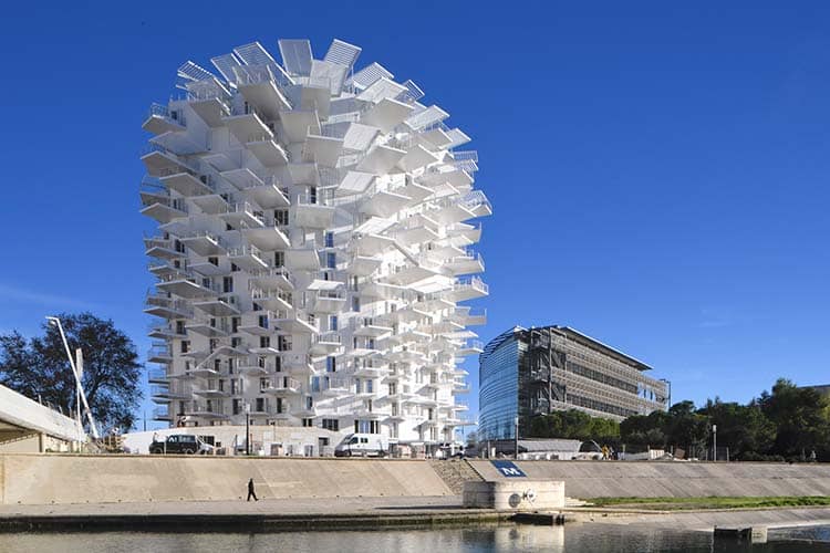 Arbre blanc. Sou Fujimoto