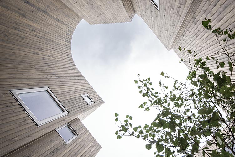 Arquitectura curva