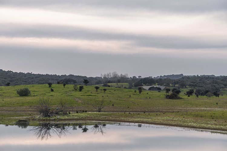 Casa en Monsaraz. Aires Mateus diseña una casa con cubierta verde y integrada en el paisaje