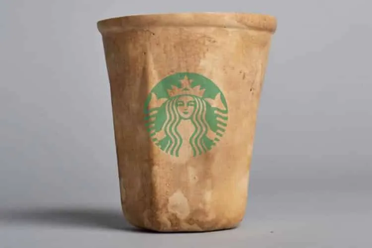 HyO-cup. Vasos biodegradables de calabaza. Crème Design