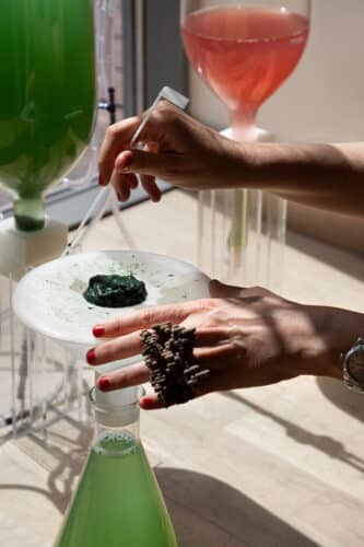 Biobombola. Cultivo doméstico de espirulina. ecoLogicStudio