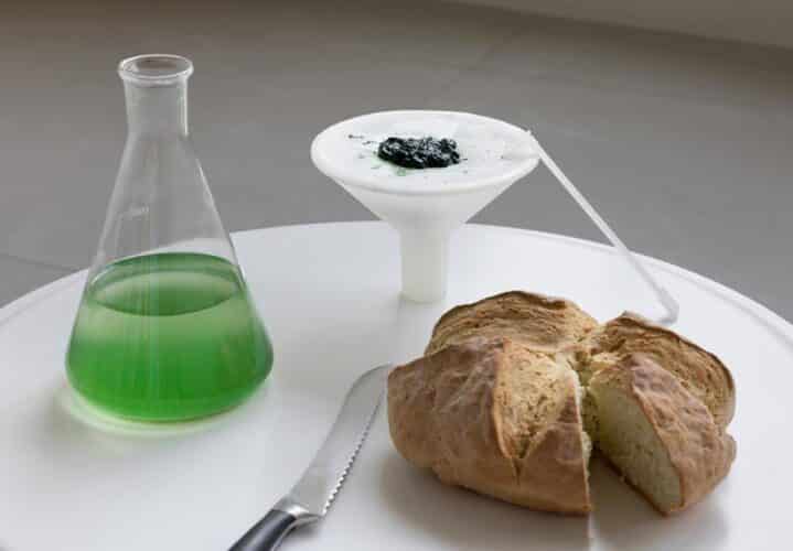 Biobombola. Cultivo doméstico de espirulina. ecoLogicStudio