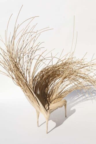 Wild Fibres. Aurelie Hoegy