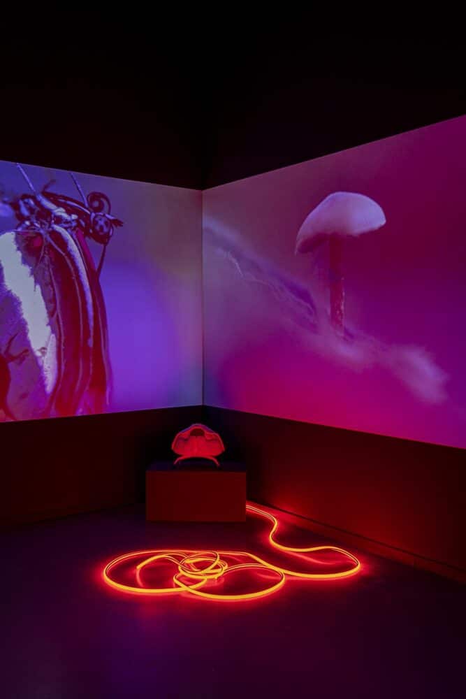 Loving the Alien. Anne Duk Hee. Foto: Maru Serrano © La Casa Encendida