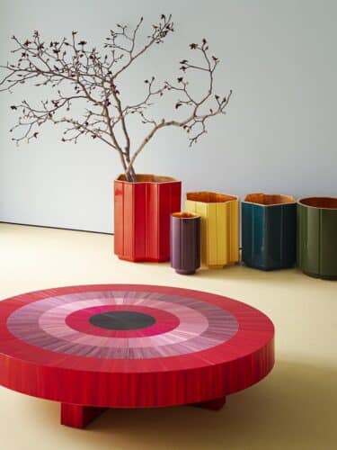 Project ROOM #1. India Mahdavi