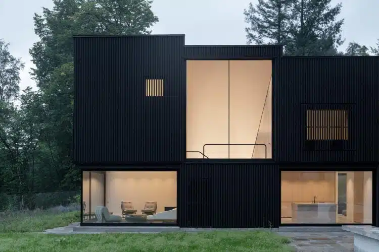 House by the Lake, madera negra, juego de cubos Appels Architekten