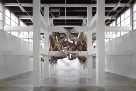 Baitogogo. Henrique Oliveira. 2013. Palais de Tokyo. Arte y naturaleza