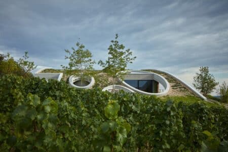 Bodega, viñedos, cubierta verde