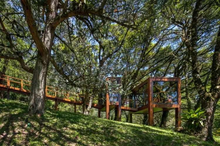 Casa árbol. Arquitectura de madera