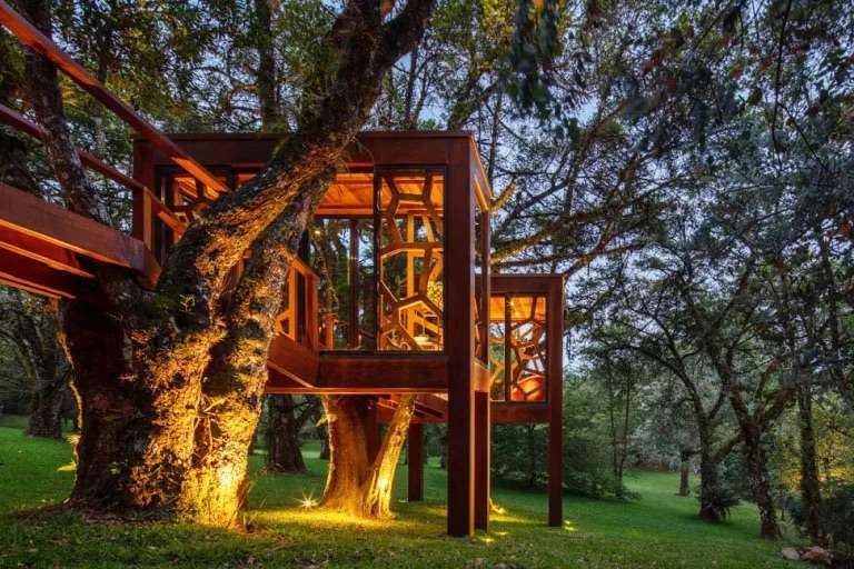 Casa árbol. Arquitectura de madera