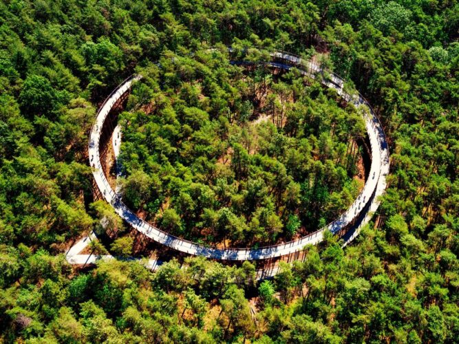 De Gregorio and Partners. Carril bici