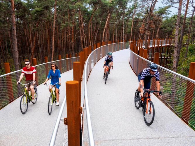 De Gregorio and Partners. Carril bici. ciclovia