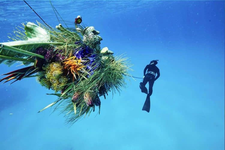 Diver. El arte floral de Azuma Makoto