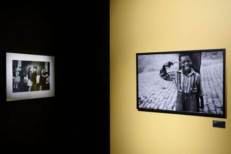 Elliott Erwitt. Museo Maillol