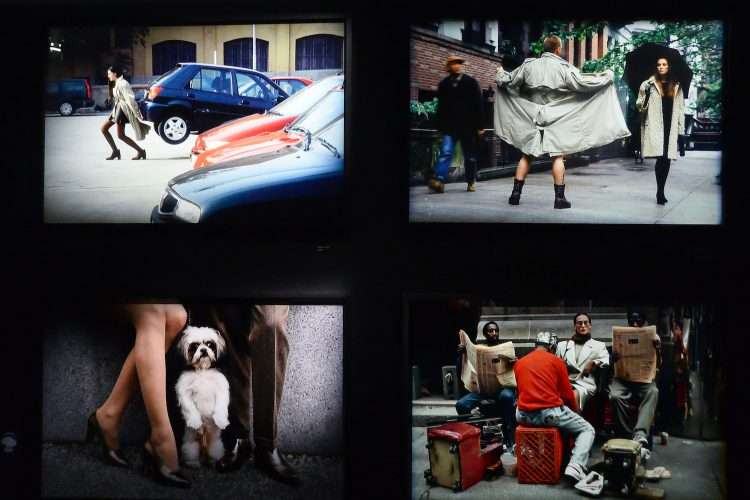 Elliott Erwitt. Museo Maillol