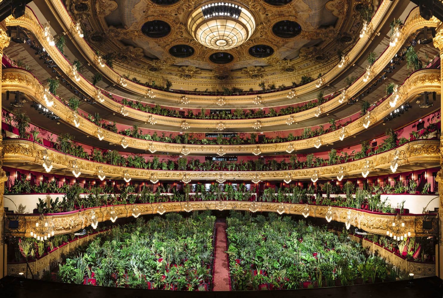 Concierto para el Bioceno. Eugenio Ampudia. Gran Teatre del Liceu de Barcelona