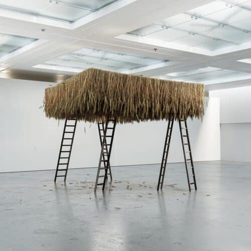 Exits. Tadao Cern. Festival Flora 2023. Arte floral