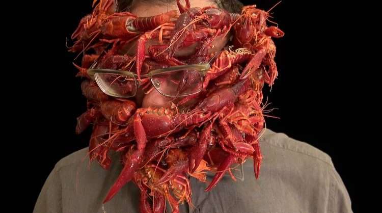 Arcimboldo. food design. Filippos Tsitsopoulos
