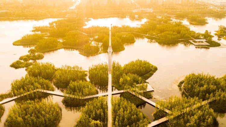 Turescape, Fish Tail Park, bosque flotante