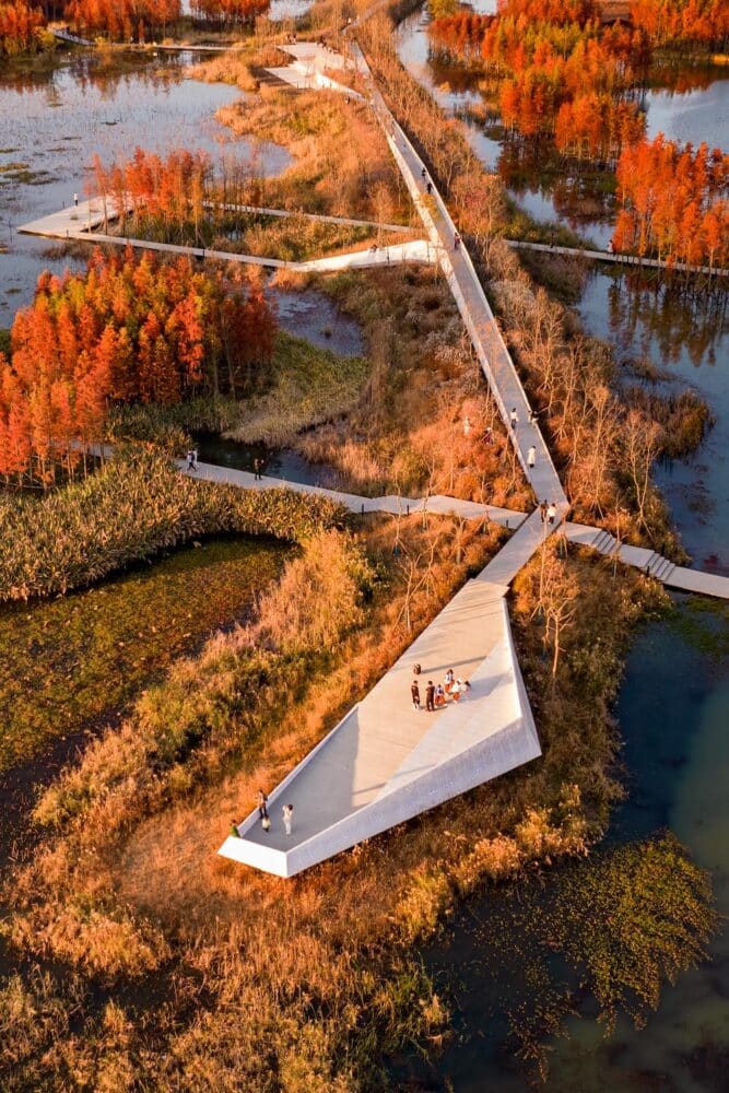 Turescape, muralla china, Fish Tail Park, bosque flotante