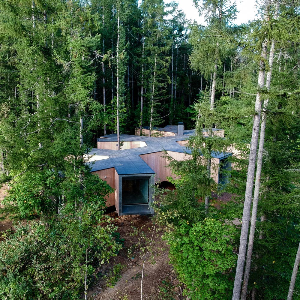 Florian Busch architects. House in the forest