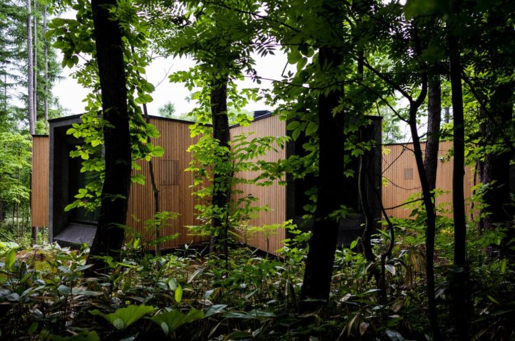 House in the forest