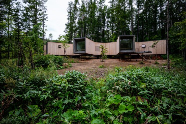 House in the forest