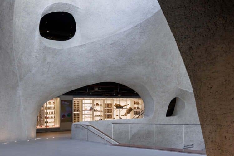 Museo Americano de Historia Natural, Jeanne Gang, Richard Gilder Center, Manhattan