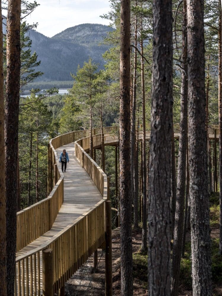 Pasarela de madera, Hamaren Activity Park, EFFEKT