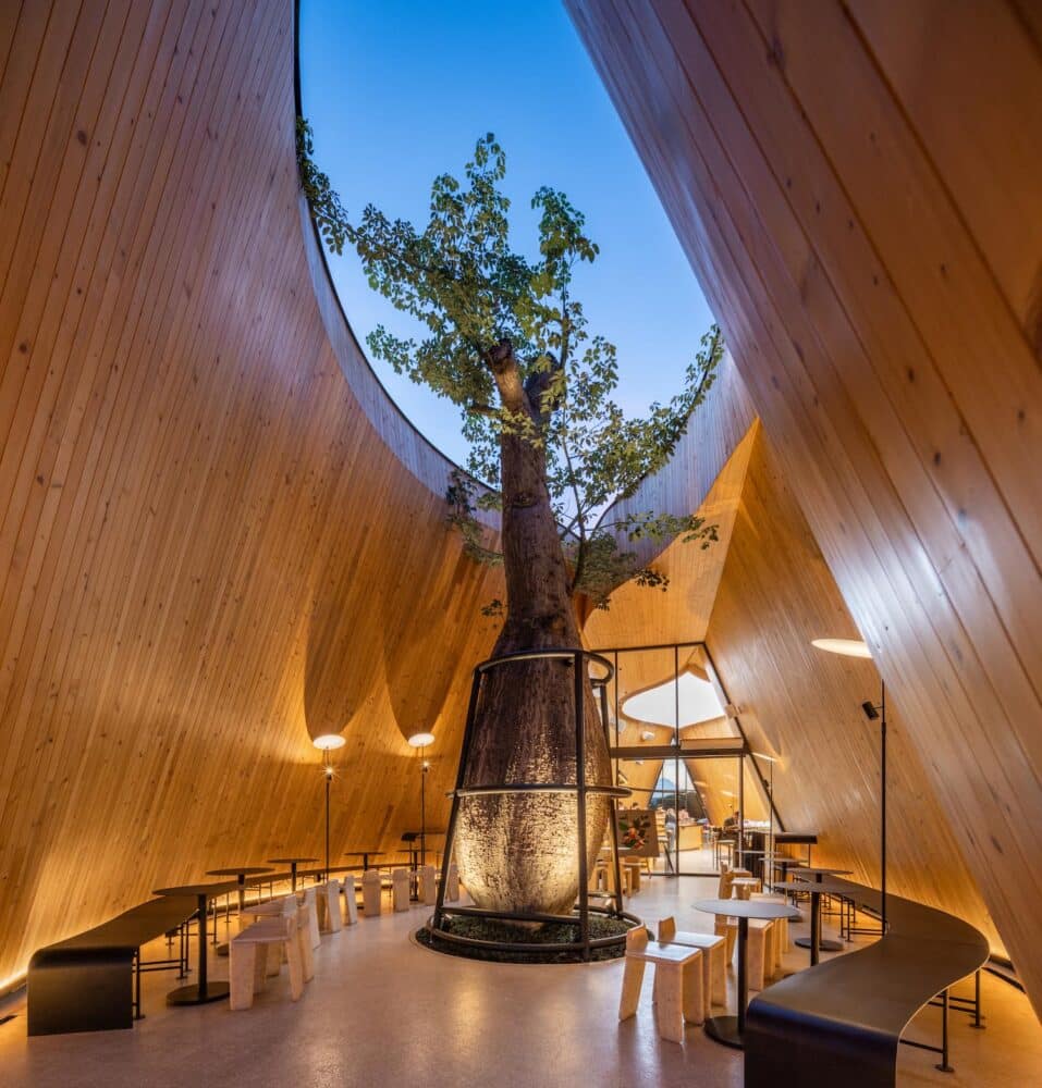 templo del café, IDIN Architects, Nana Coffee Roasters, Harudot