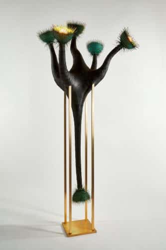 Hexacorallia Luxus. J McDonald. Objective Gallery