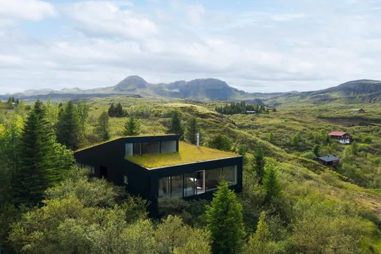 Delgado De Verdad léxico ▷ Una cubierta vegetal para una casa en Islandia camuflada