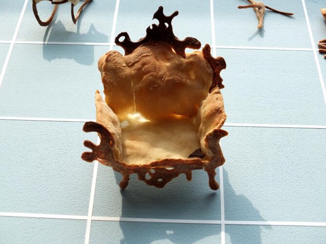 Mathilde Nakken. Make food, not chairs