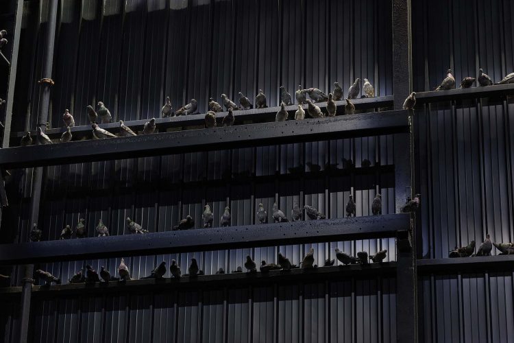 Maurizio Cattelan. Pirelli HangarBicocca